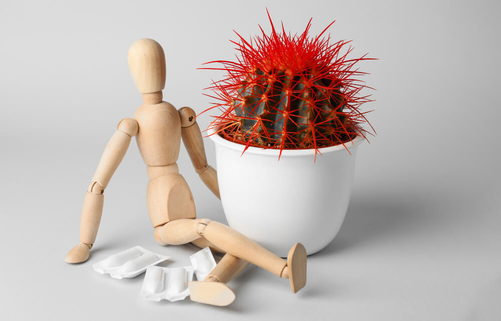 Enfermedad Hemorroidal en CDMX