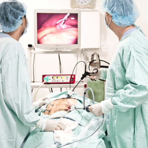 endoscopia-cdmx-dr-ernesto-castellanos-cerca-de-mi