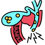 precio-especialista-en-vesicula-cdmx